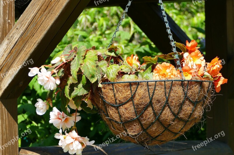 Flowers Hanging Traffic Lights Basket Braid Hanging Basket