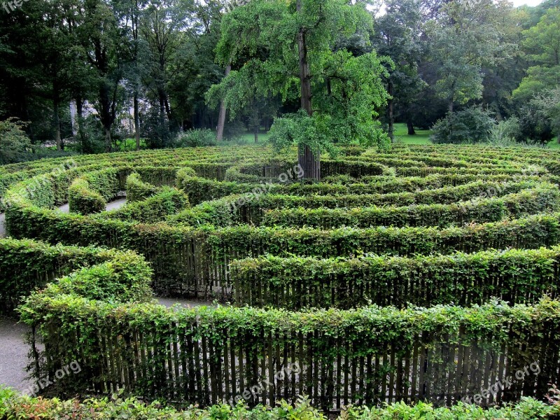 Labyrinth Green Trees Nature Geometric