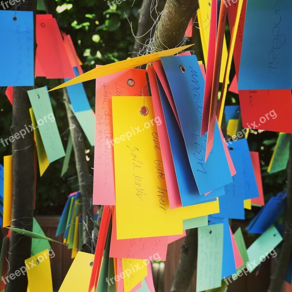 Wish Tree Wishes List Fun People Of Color