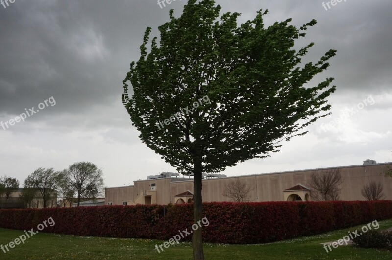 Storm Stormy Weather Dark Sky Stormy Clouds