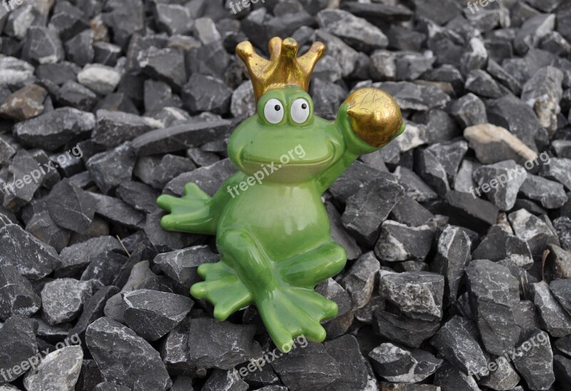 Frog Frog Prince Crown Gold Green