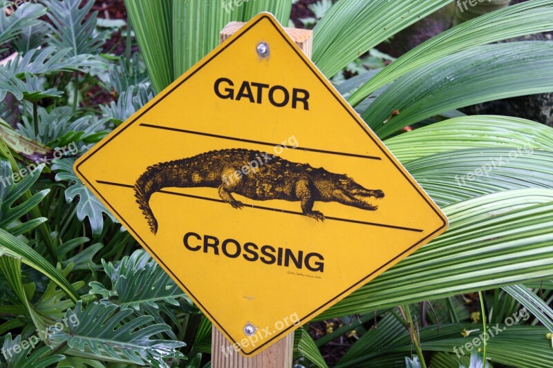 Usa Orlando Everglades Florida Aligator Farm