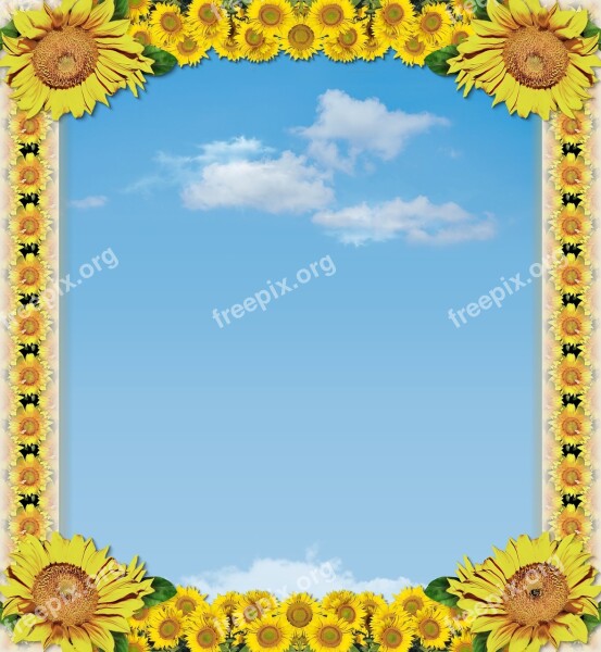 Abstract Postcard Frame Clearance Template