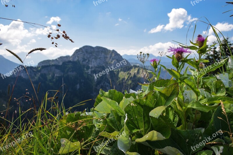 Alpine Schwangau Allgäu Tegelberg Outlook