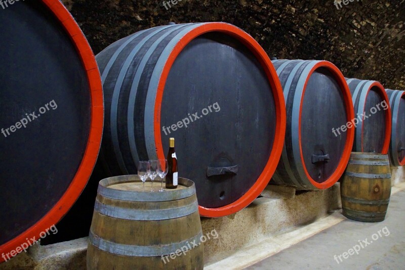 Viticulture Wine Barrels Storage Cellar