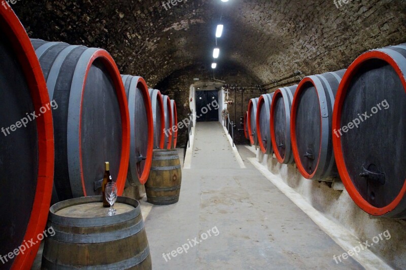 Viticulture Wine Barrels Storage Cellar