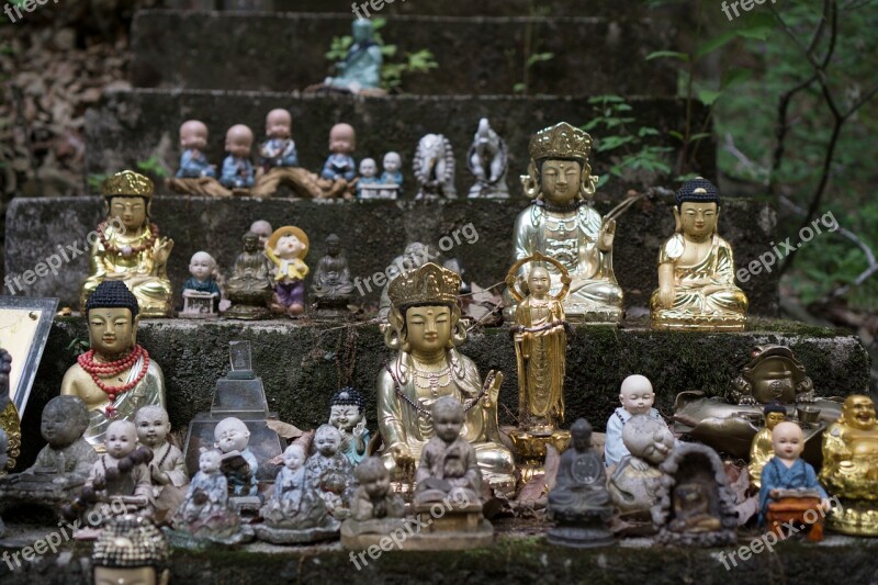 Buddhism Buddha Temple Asia Culture