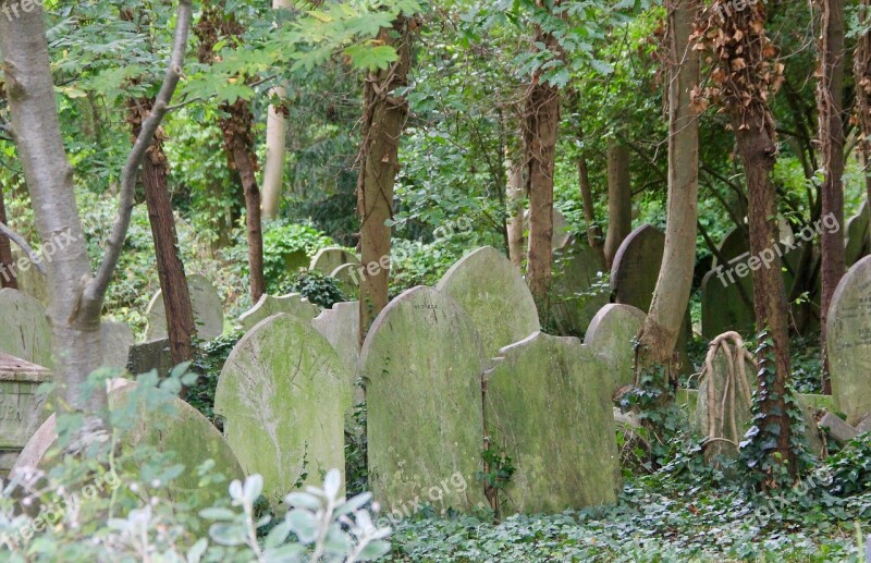 Forgotten Cemetery Graveyard Headstone Tombstone