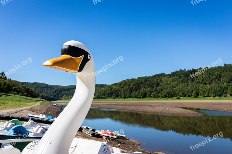 Pedal Boat Boat Lake Water Swan