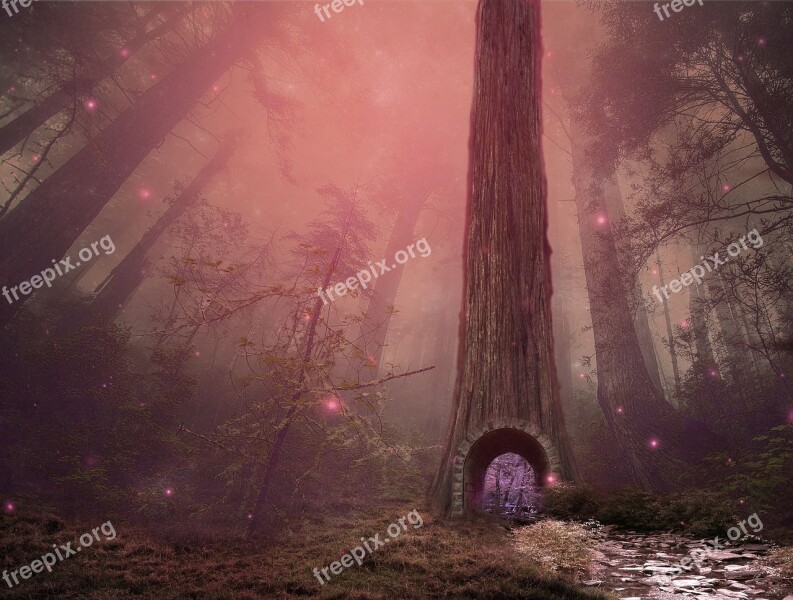 Fairytale Forest Magic Stream Tunnel