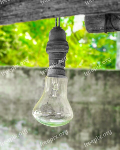 Green Bulb Environment Nature Energy