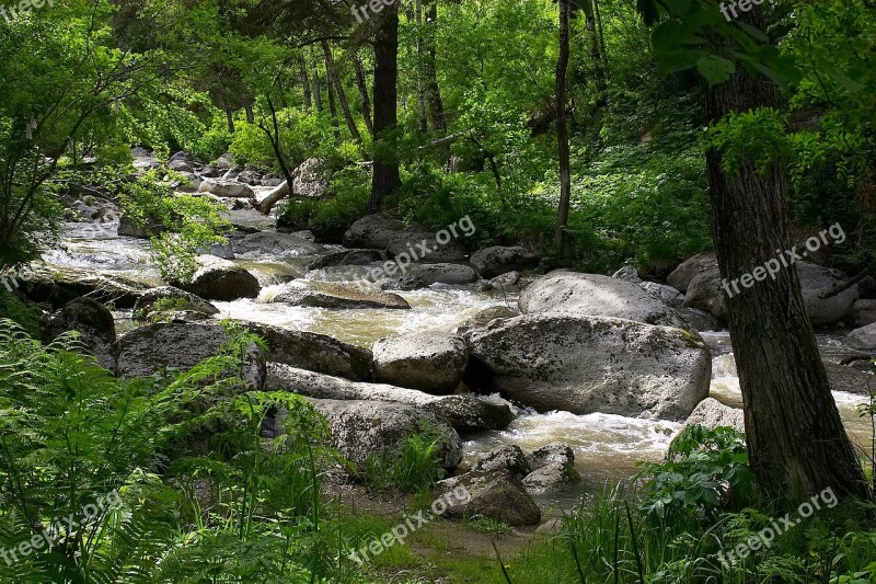 Altai Nature River Siberia Belokurikha