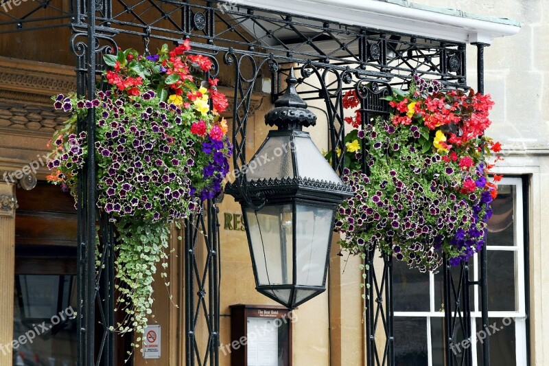 Flowers Hanging Baskets Lamp Ornamental Wiltshire