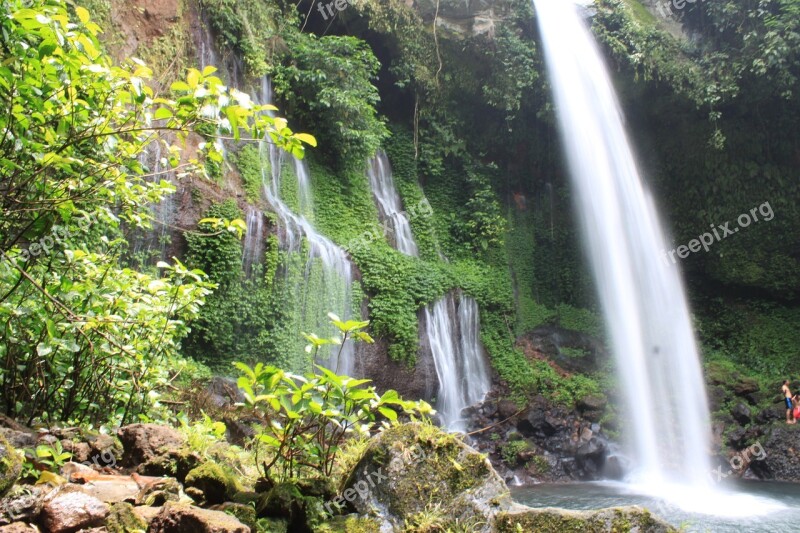 Waterfall Nature Tourism The Tree River View