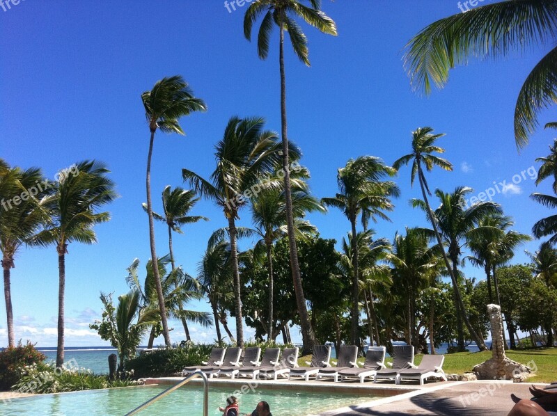 Fiji Resort Palm Trees Free Photos