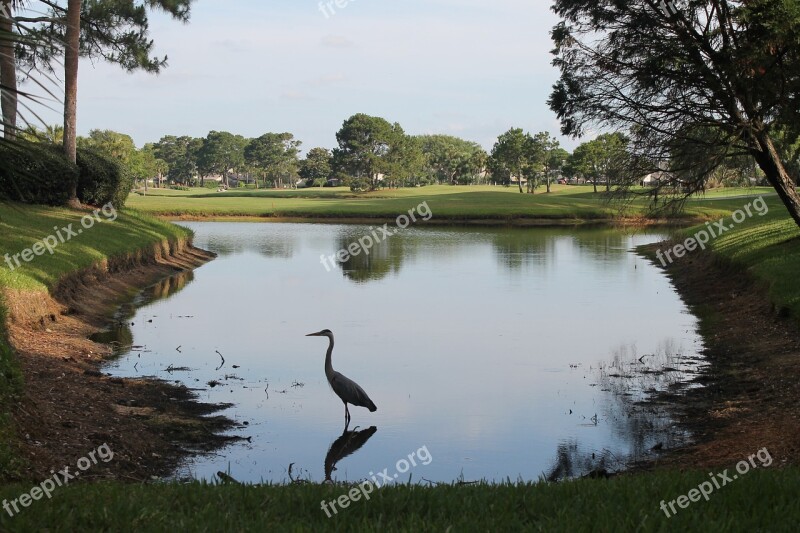 Blue Heron Ponte Vedra Beach Golf Course Florida