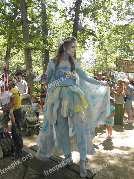 Fairy Renaissance Costume Magical Magic