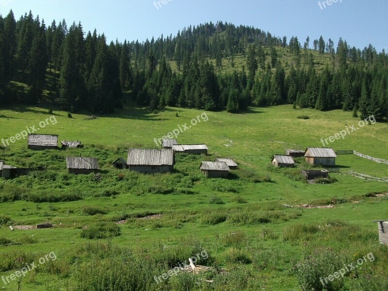 Romania Carpathian Chalets Forest Free Photos