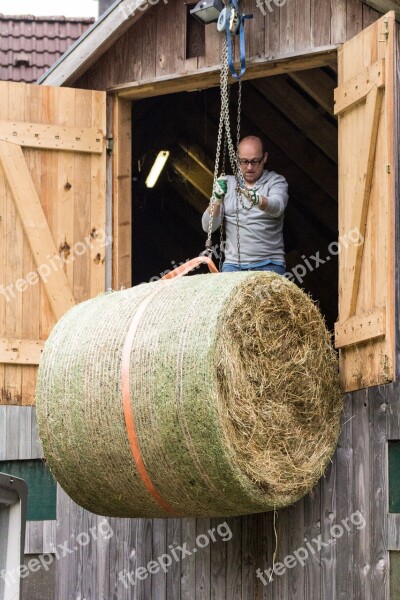 Man Work Straw Bales Straw Role