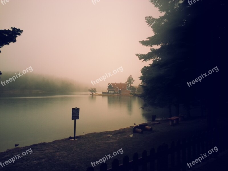 Lake Bolu Tree Landscape Free Photos