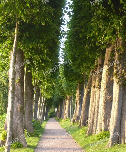 Nature Avenue Glücksburg Away Free Photos