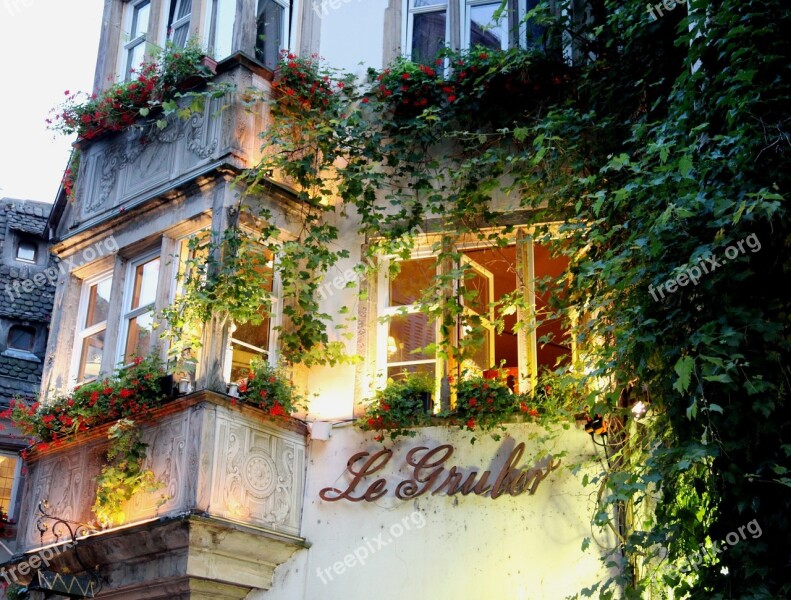 Le Gruber Local Restaurant Strasbourg Lighting