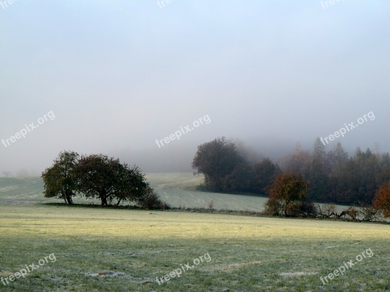 Autumn Cold Green Sadness Landscape