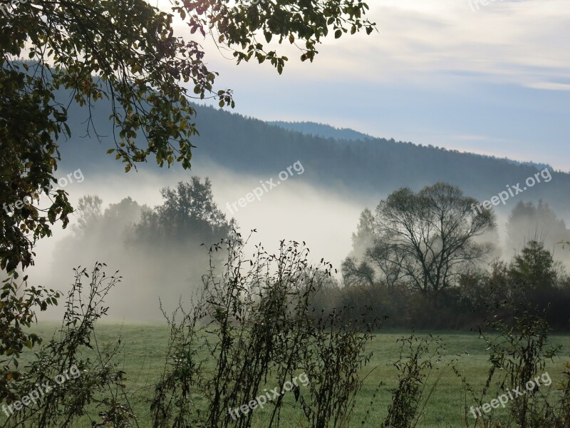 Landscape Fog Haze Trees Jílové U Prahy