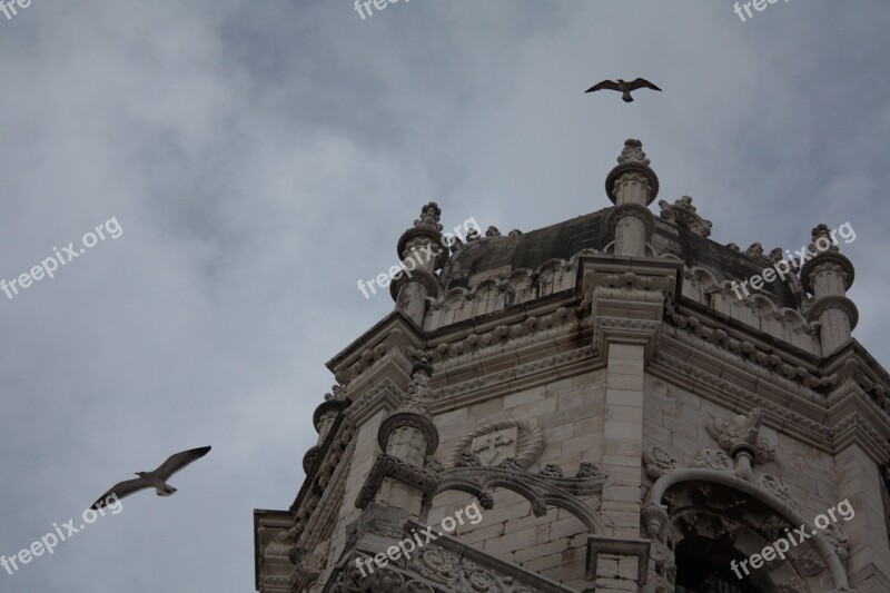 Lisbon Monastery Dome Seagulls Free Photos