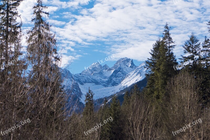 Tatry Mountains Winter Forest Sky