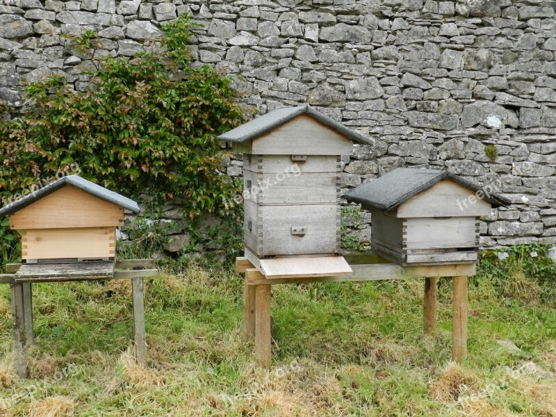 Beehives Beekeeping Bee Free Photos