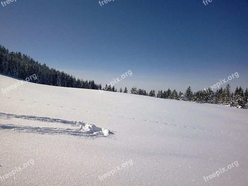 Vorarlberg Winter Snow Hochhädrich Backcountry Skiiing