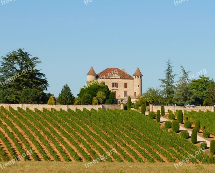 Vineyard Chateau France Agriculture Winery