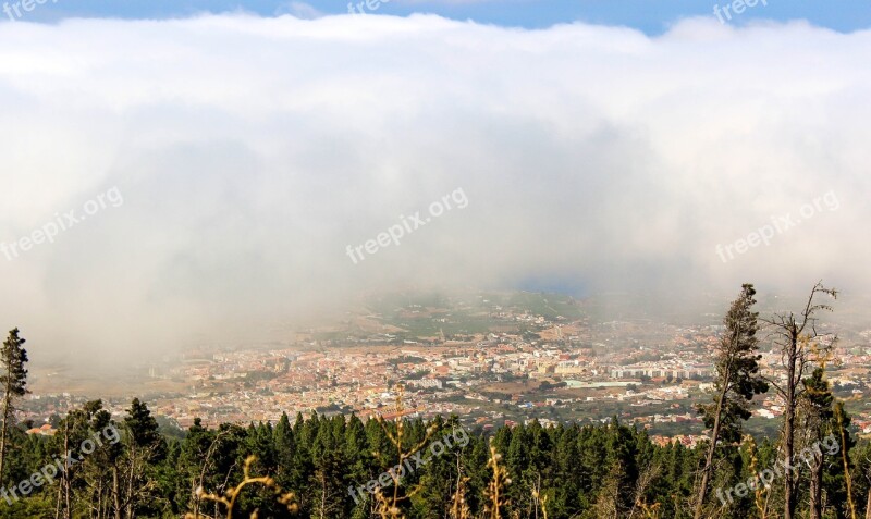 Cloud Cover Outlook Sky Firs Landscape