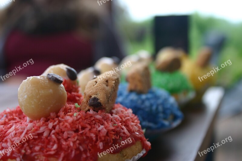 Muffins Baked Color Free Photos