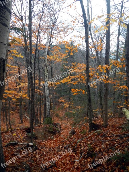 Hiking Trail Nature Backpack Landscape