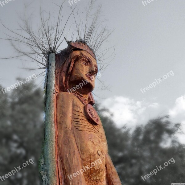 Dřevotvor Wood Sculpture One Chainsaw Free Photos