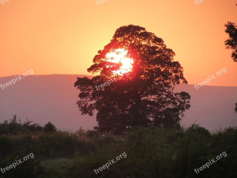 Sunset Summer Sunset Summer Evening Setting Sun Free Photos