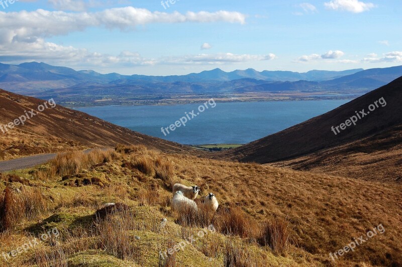 Mountain Sheep Bay Landscape Free Photos