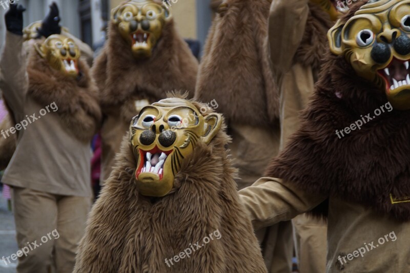 Lion Tiermaske Animals Strassenfasnet Fools Jump