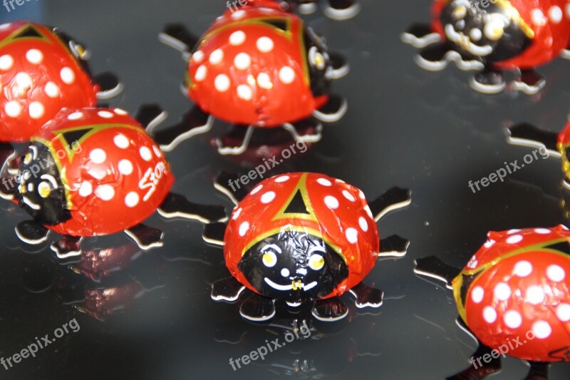 Beetle Ladybug Lucky Ladybug Decoration Chocolate Beetle