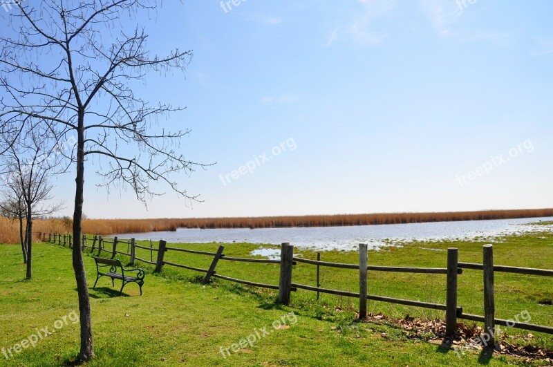 Seascape Lake Neusiedl Landscape Free Photos