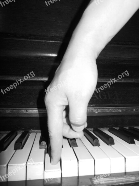 Keys Piano Music Free Photos