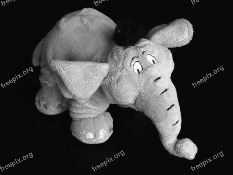 Elephant Pachyderm Grauhaeuter Soft Toy Free Photos