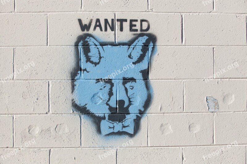 Graffiti Fox Wanted Brick Wall