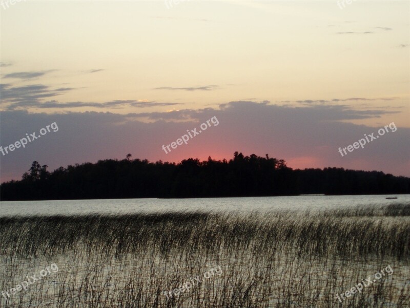 Sunset Lake Summer Nature Reeds