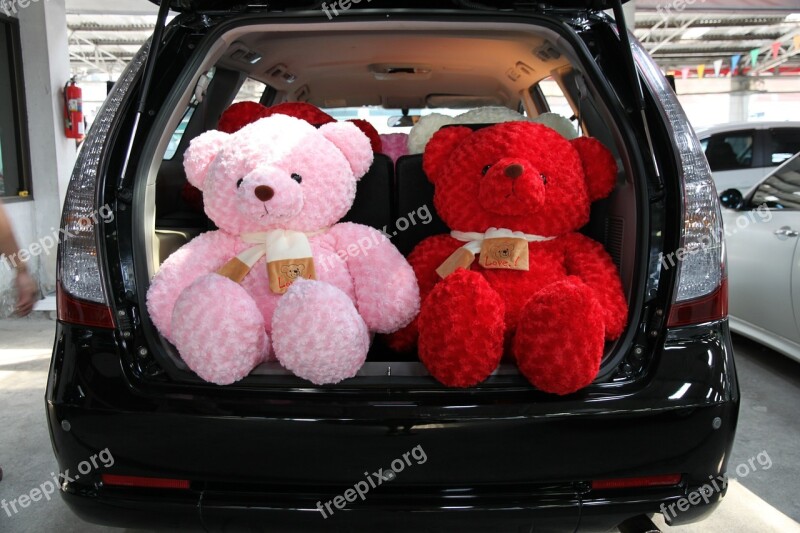 Car Teddy Space Wagon Free Photos