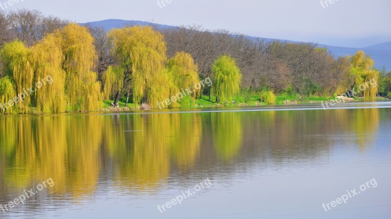 Spring Lake Nature Promo Free Photos