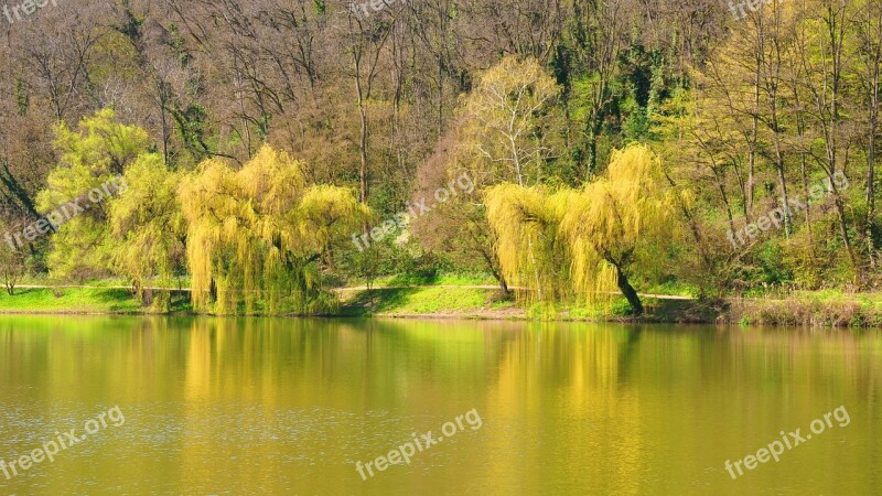 Spring Lake Nature Promo Free Photos