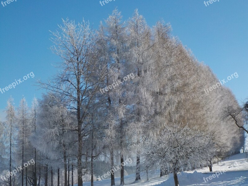 Wintry Snow Frost Sunshine Mood